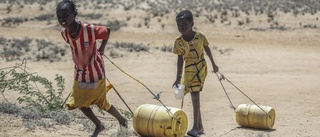 Danmark ger nytt bidrag till Afrikas horn