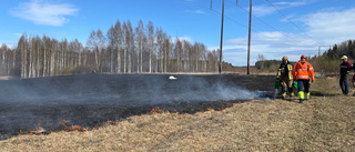 Gräsbrand på Sjungande dalen – branden spred sig snabbt: ”Inte varit något som har varit hotat”