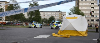 Sköt ihjäl man på öppen gata – döms för mord