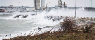 Kolla: Så starka var stormvindarna hemma hos dig