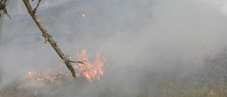 Räddningstjänsten släckte brand i Vrinnevibacken