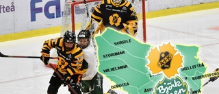 Skellefteå AIK har valt motstånd – hatderby väntar i kvalet • Målvaktsstjärnan hoppas på storpublik: "Skulle betyda jättemycket"