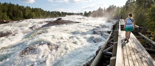 Reseagenter från Kina besöker länet