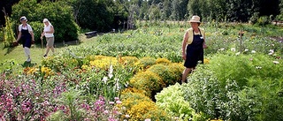 Orangeriträdgården har problem