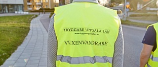 Fler vuxenvandrare sökes