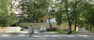 Förslag om att bygga bilväg  genom Engelska parken