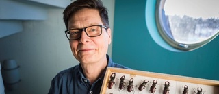 Forskningsrapport: Insekterna kan vara utdöda inom 100 år