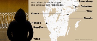 Anstalt i Östergötland kan få ta emot brottsdömda barn