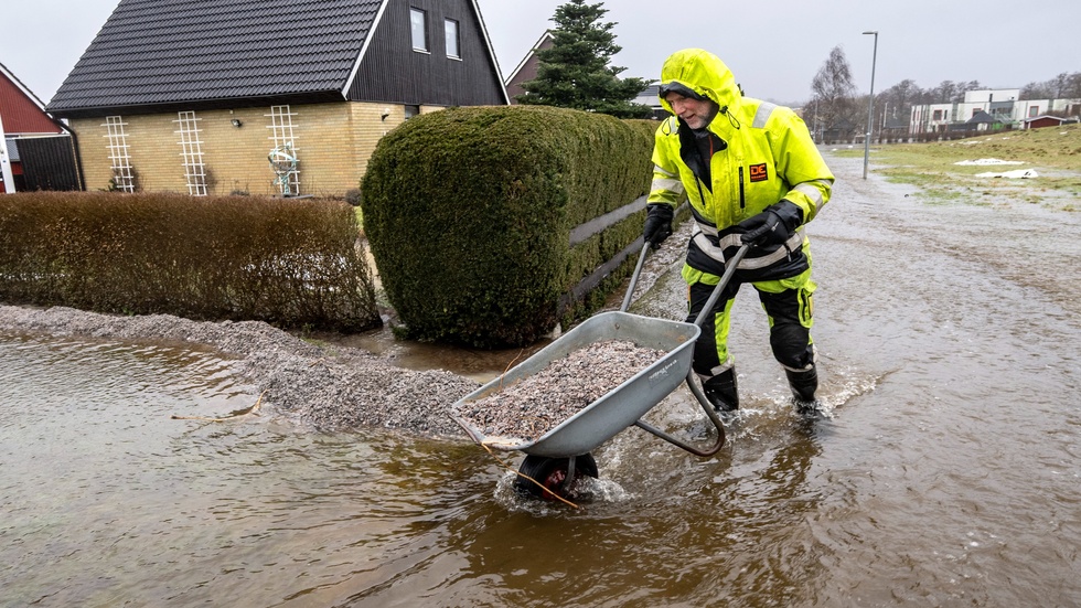 Kopplingarna till de pågående klimatförändringarna blir allt tydligare. Det skriver Nicklas Adamsson, gruppledare (MP) och Lilli Marton, ordförande (MP). 
