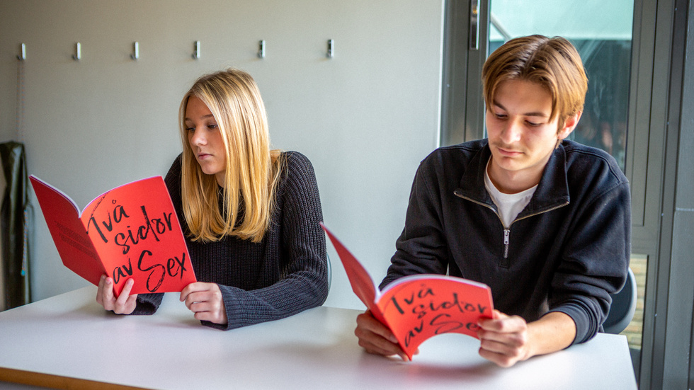 Polly Bard och Platon Zaiarnuikär båda 15 år och går i nian på Järvenskolan. De tycker att Region Sörmlands nya novellsamling är bra och att den fyller ett syfte. 