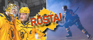 Vem var bäst i Skellefteå AIK? – lägg en röst på din favorit