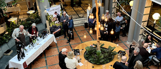 Uppgraderad vinfestival i Västervik lockade stor publik