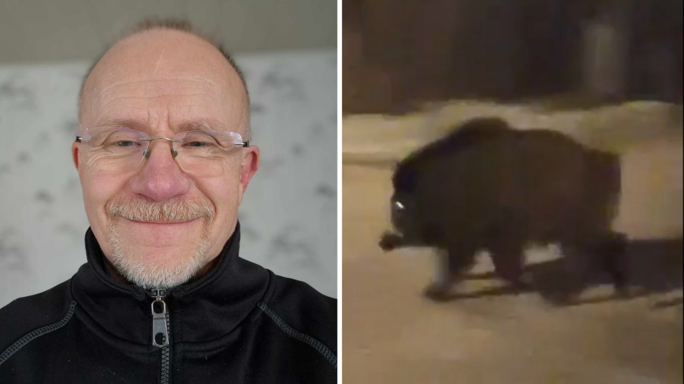 Björn Söderberg stötte på ett vildsvin i Storvreta under fredagsmorgonen.