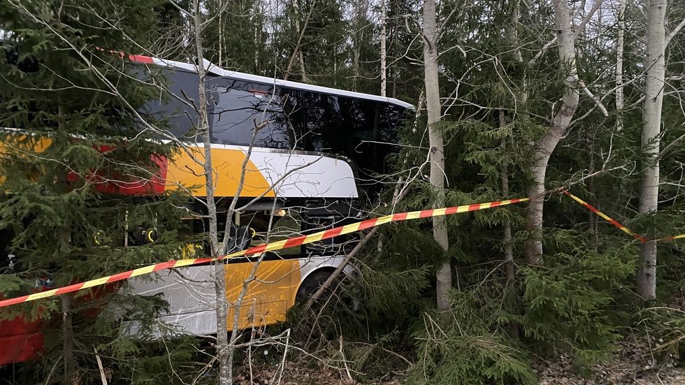 Bussen körde rakt in i skogen efter olyckan. Utredningen visar att det berodde på ett plötsligt sjukdomstillstånd hos föraren.