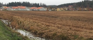 Grönt ljus för nya hyresrätter