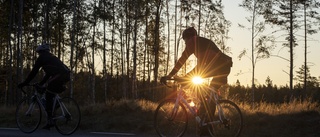 Så kan Gotland bli föregångare för mer cykling