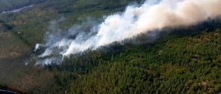 Gnesta får bidrag efter skogsbränder