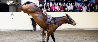 En kick för hästägare i Sörmland