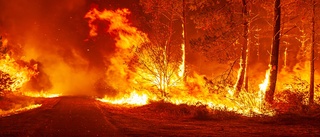 Klimataktivister cementerar golfbanor i protest