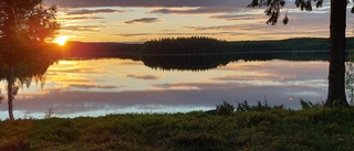 Läsarbilden: Himmel över Ängesträsk