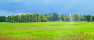 Dags att tycka till i Oxelösund