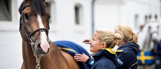 Baryard hoppas på ny succé