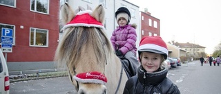 Bildspel: Välbesökt och kall julmarknad