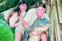 Krokodiljägaren  
Steve Irwin död