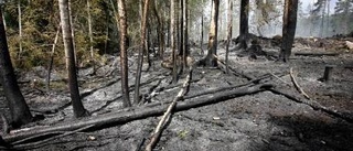 Skogsbranden är den största i Holmens historia