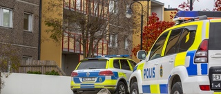 En misstänkt för hets mot folkgrupp och olaga hot efter bråk • Polisen: "Hotat verbalt och kastat sten"