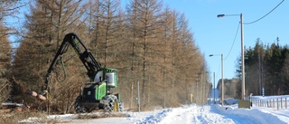 Här röjs för miljardstängslet mot Ryssland