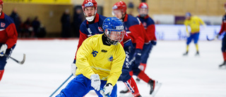 Två assist av Spångberg i VM-premiär - final hägrar