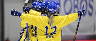 Historiskt bandy-VM i Växjö