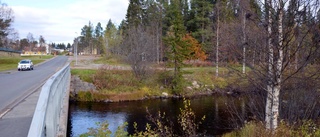 Vill restaurera Vassarälv och Linaälv