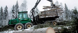 Rekord för Norra skogsägarna