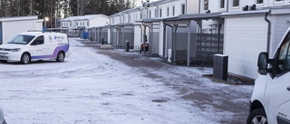 Fönsterputsning, Miss Li, E-type och snöoväder lockade läsarna