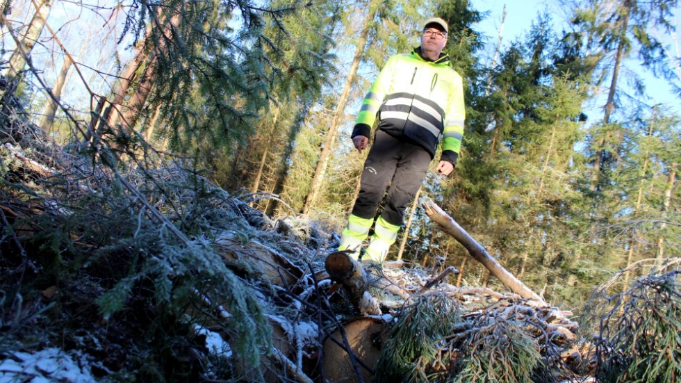 Sven Össmar ovanpå den bro, som skyddar den lilla porlande bäcken från att förstöras när de 30-35 ton tunga maskinerna kör över. 