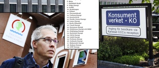 EEM granskat av Konsumentverket – elbolag under lupp om rörliga elpriser: "Ska vara så korrekt som möjligt"