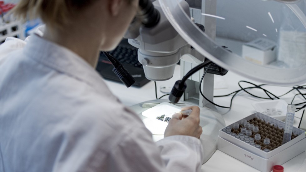 Forskning och utveckling har lett till nya effektiva metoder för att diagnosticera och behandla cancer, skriver flera skribenter.
