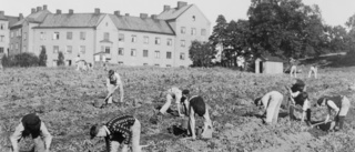 De hungriga åren