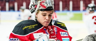 SHL-målvakt förstärker Hästen