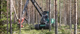 Omfattande stöld från skogsmaskin