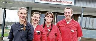 Djurklinik invigdes i Rimforsa