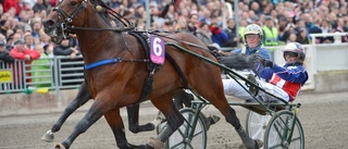 Mantorpshästen till elitloppet