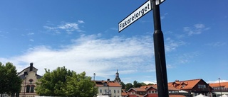 Vill att kommunen fyller strandpromenaden med konst