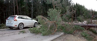 Storm blev mildare än befarat