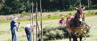 Samlingsplats: den gamla skolplanen