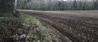 Här kan det bli ett nytt naturreservat