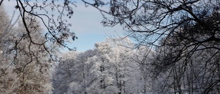 "Vi kommer hamna i vinter snart"