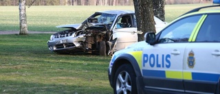 Bilen landade i en trädgård